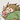 HeftyBoar6
