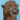 HeraLedro