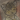 Maroi
