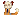 KingTaiga