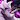 DarkViolet