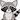 Racoon1958