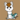 shadowfoxnjp