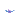Transgressor