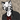DarkwolfUntamed