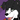 Traceypup