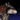SDWolf