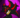 shadowamypunk