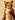 Fox2012
