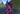 zidders