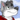 FlareWinterwolf