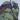 chisuke
