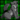 RufusWolf