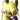 Lex0the0Pikachu