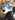 dathusky