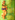 Applejackcountry
