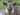 TheTapir