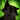 DarkWingo