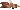 SheFoxy