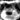 Catweasel