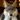 GraniteTheWolf
