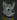 wolfspawn