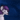 snofox