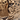 DreyBeast