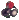 Dytri