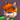 estelkun