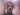 Fido815