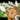SpringBuck