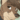 KobeMutt
