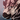 Saker