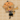 PumpkinPie