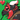 Dragonsarecool39